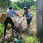 Mutirão de combate à dengue em Sarandi