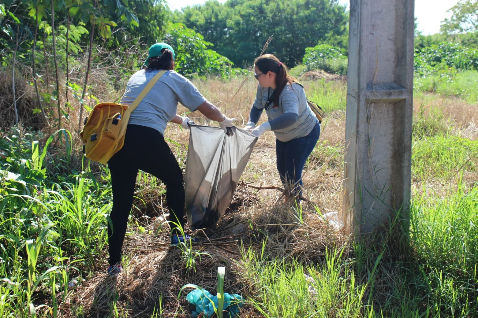 Mutirão de combate à dengue em Sarandi