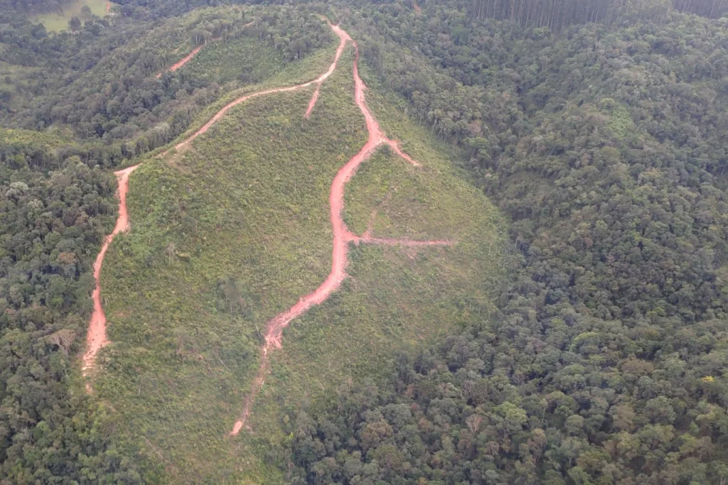Paraná reduziu desmatamento em 78% em 2023, aponta Fundação SOS Mata Atlântica 2 desmatamento pg 12