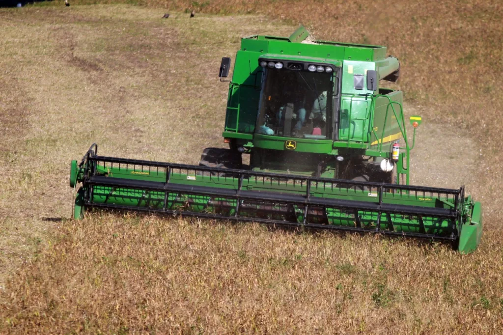 Paraná deve colher 646 mil toneladas de feijão, 34% a mais que em 2023
Foto: Gilson Abreu/SGAS