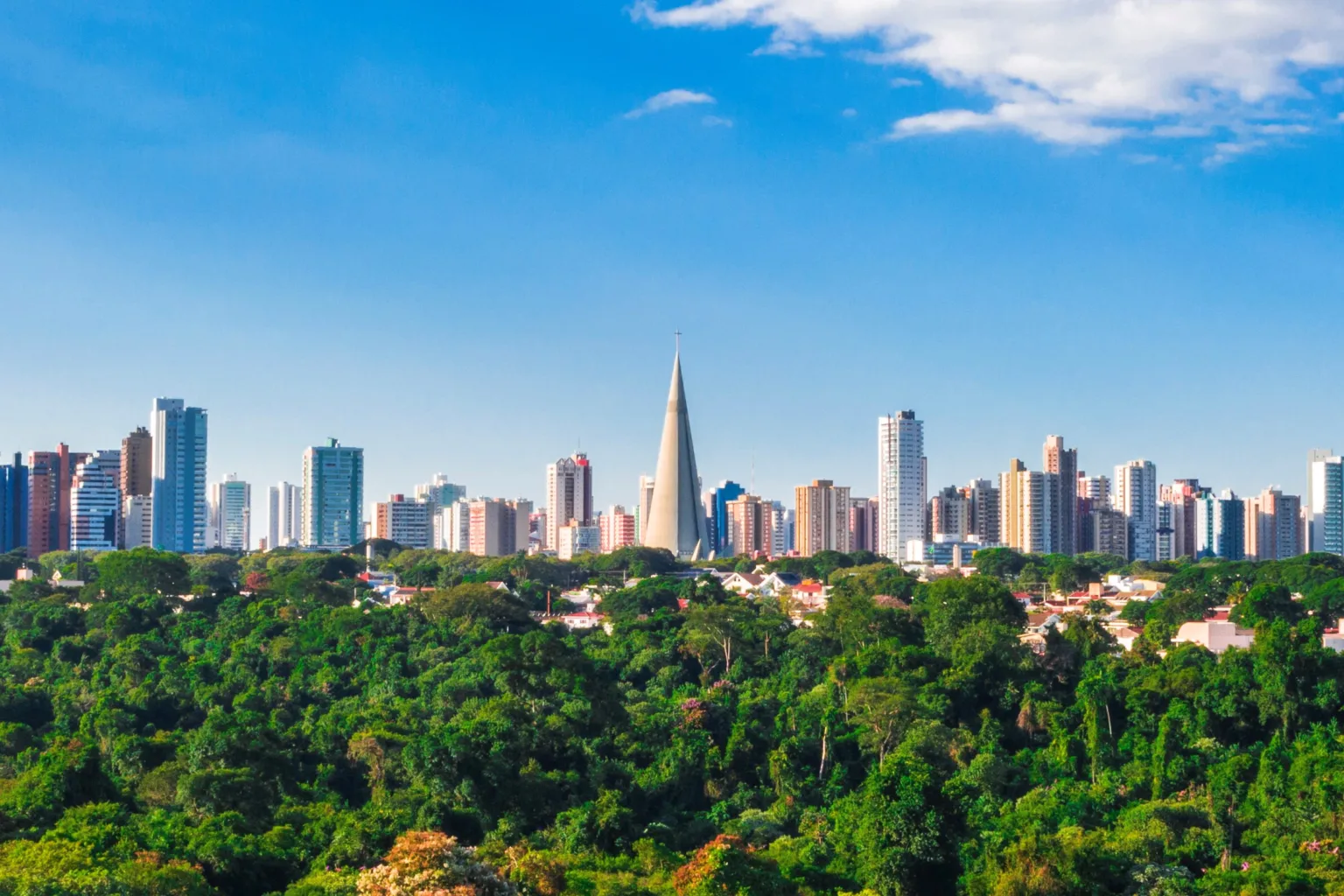 Maringa Parana area verde meio ambiente