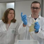 Diabetes: Unicentro desenvolve medicamento oral para substituir injeções