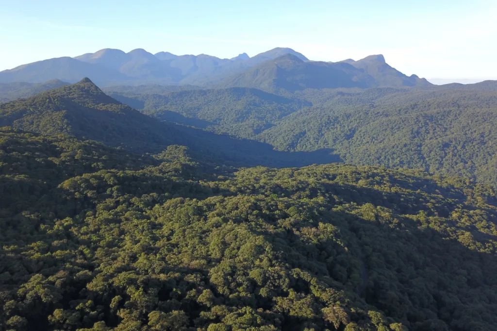 Apoio do Estado: startup de Maringá cria plataforma para compensar pegada de carbono