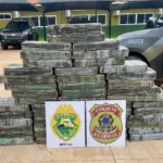 Operação Protetor: Ação da PMPR em Cruzeiro do Oeste resulta em apreensão de veículo roubado e 883 kg de Maconha Foto: SESP