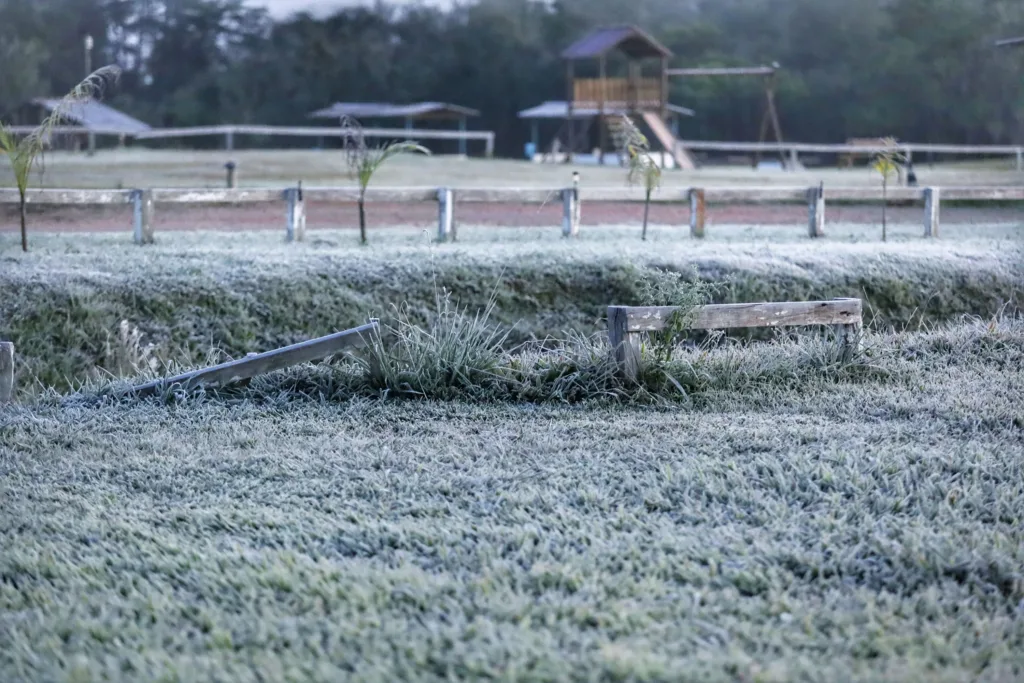 Frio e geada