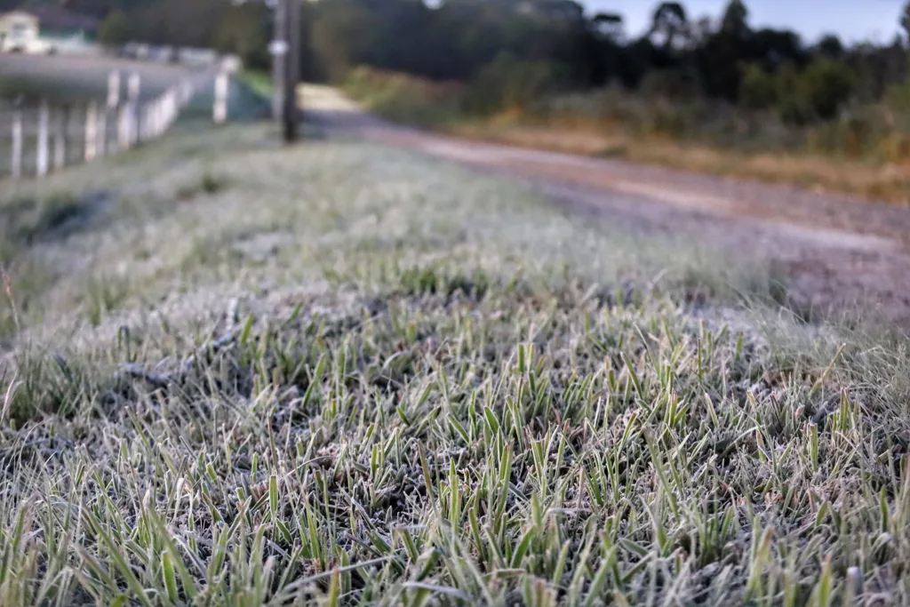 Frio e geada