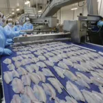 Com tilápia em alta, exportação paranaense de pescados cresceu 20% no 1º semestre