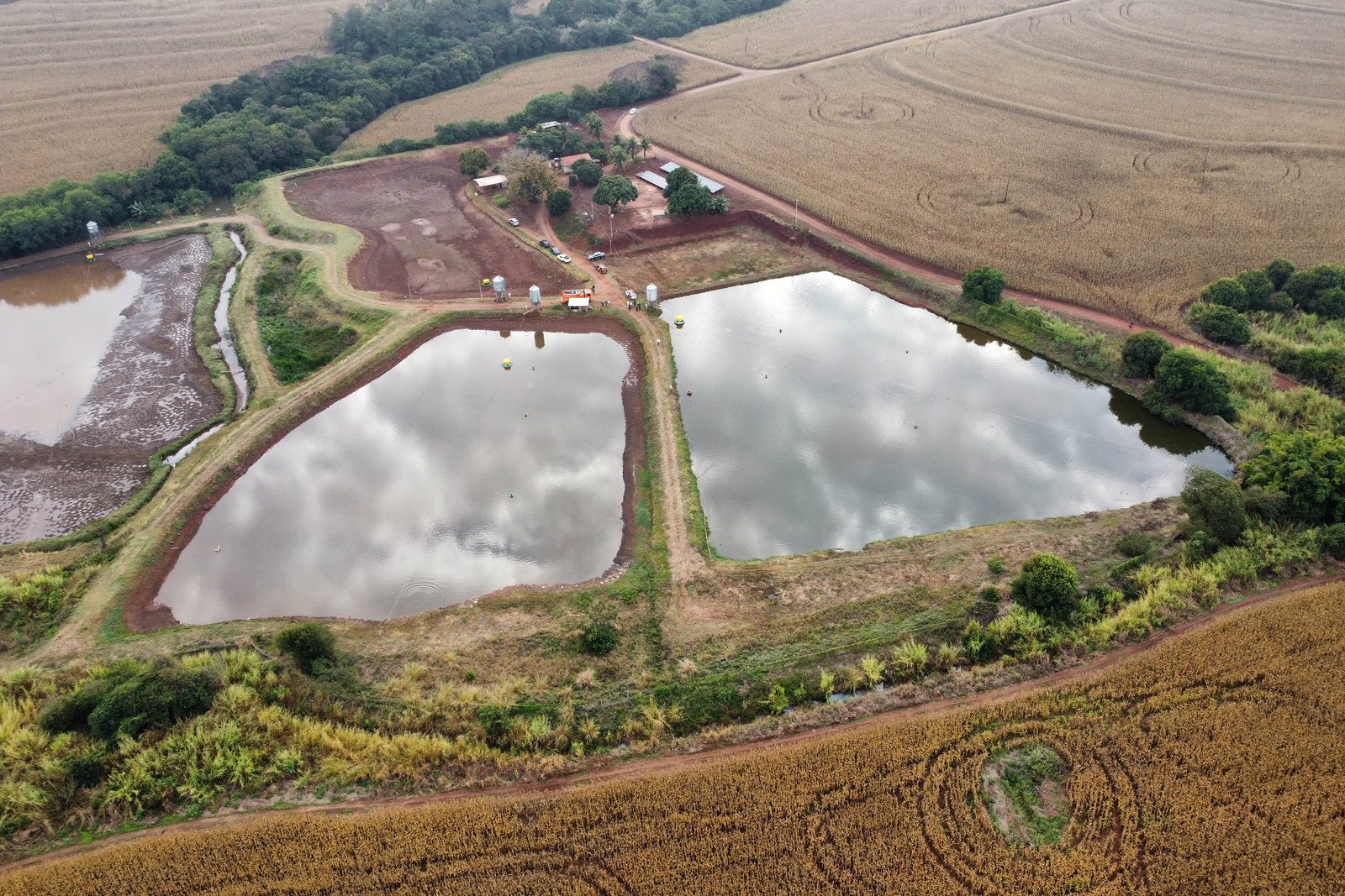 Darci Piana recebe ministro da Pesca e apresenta produtores de tilápia do Norte do Paraná 5 dji fly 20240715 084558 770 1721044362583 photo optimized