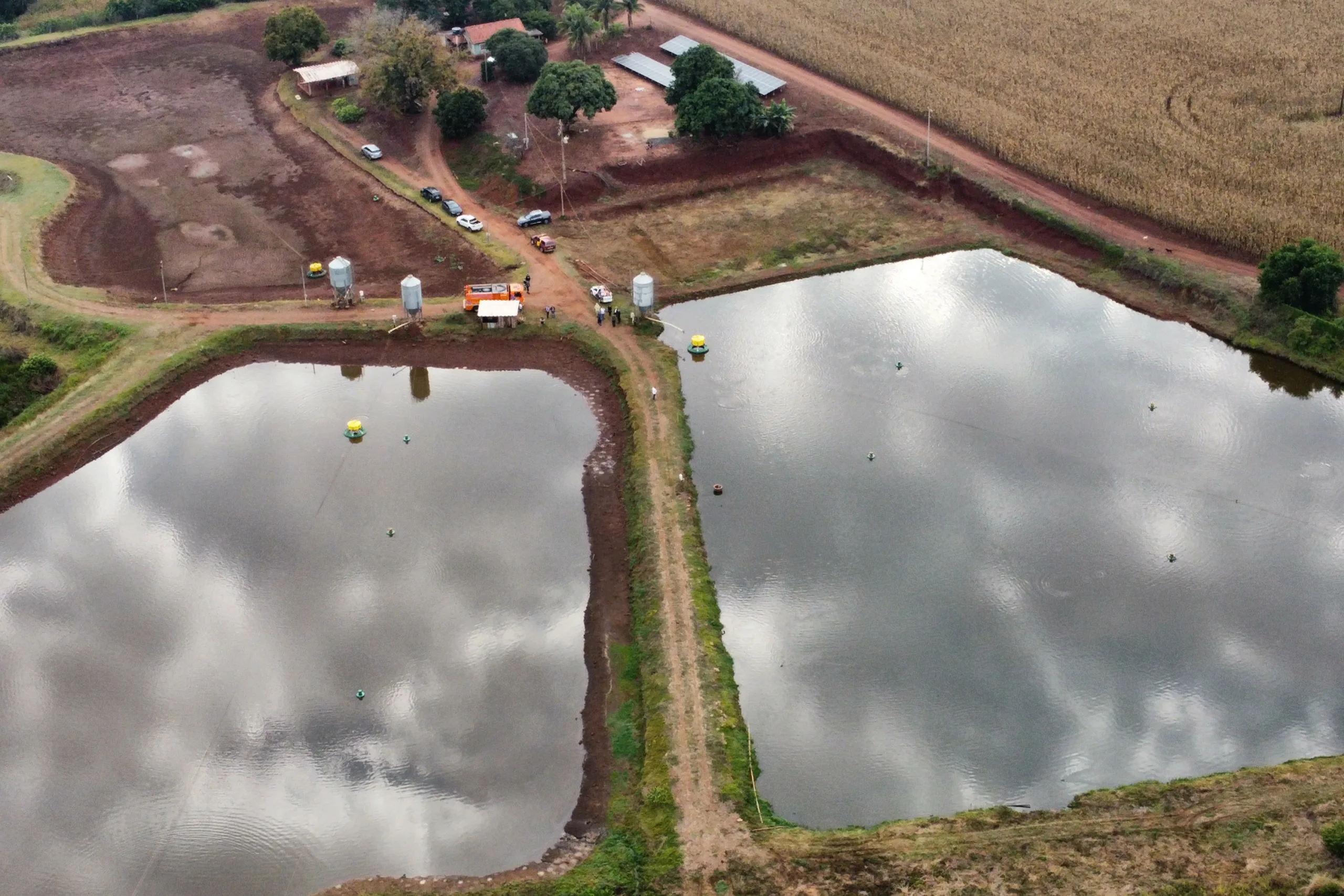 Darci Piana recebe ministro da Pesca e apresenta produtores de tilápia do Norte do Paraná 4 dji fly 20240715 084616 771 1721044358754 photo optimized scaled