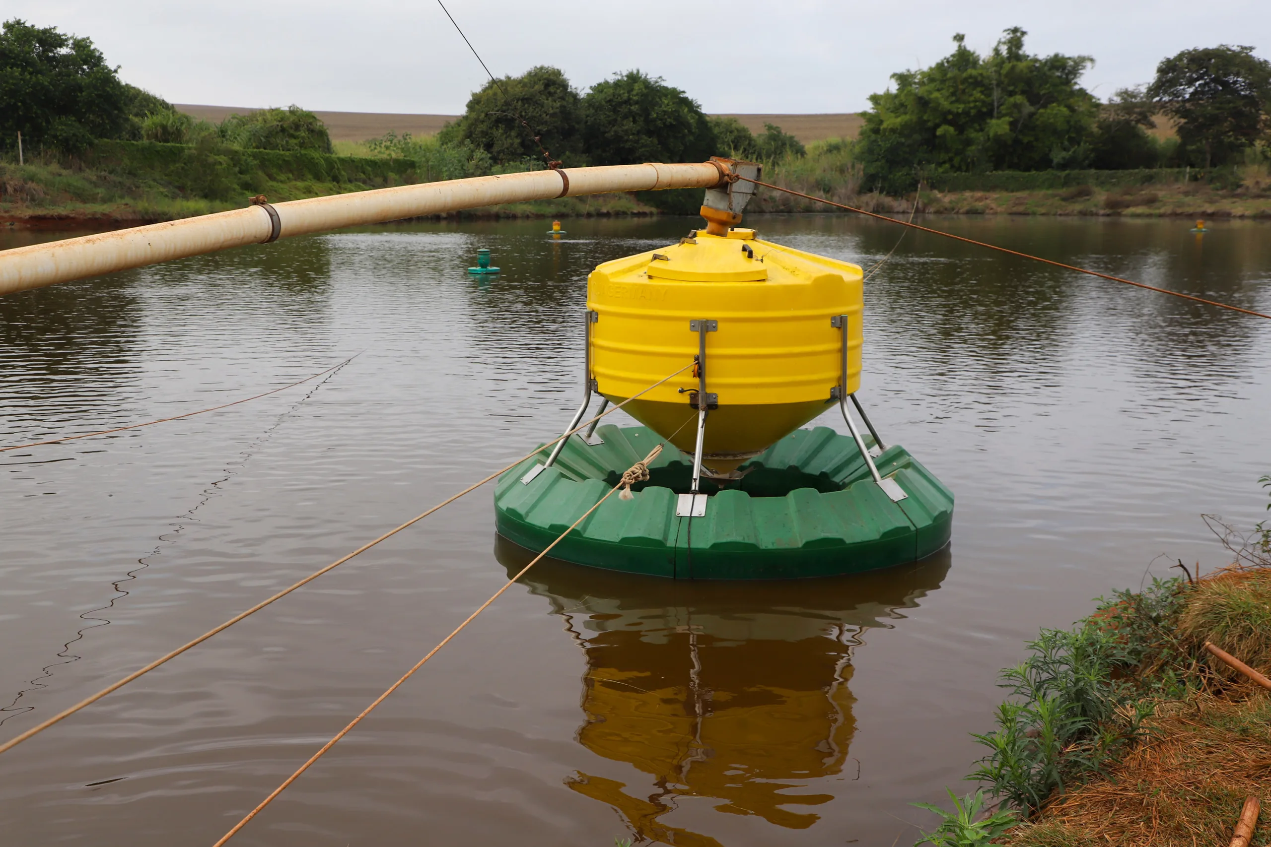 Darci Piana recebe ministro da Pesca e apresenta produtores de tilápia do Norte do Paraná 8 img 3044 scaled