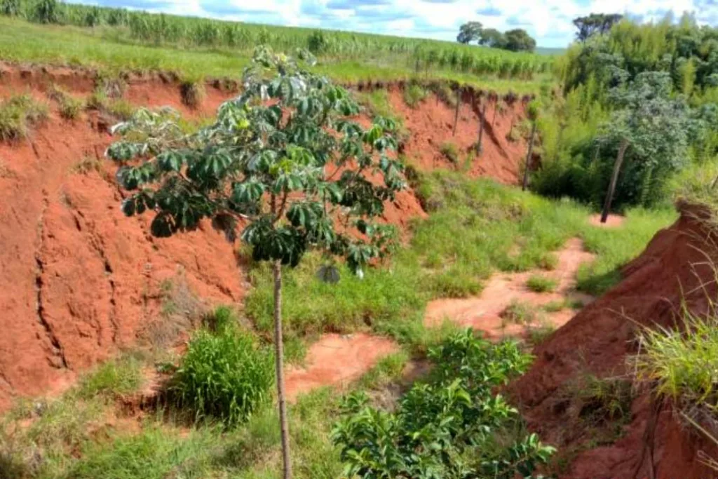 Rodovia PR-323 em Tapejara vai receber melhorias na drenagem e contenção de erosão