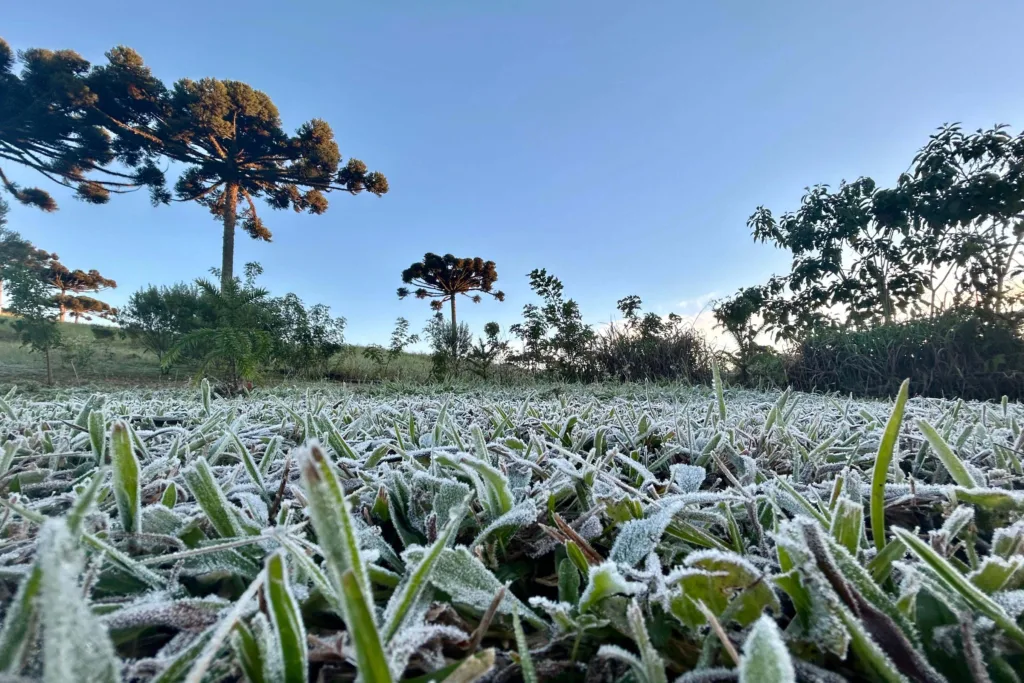 Frio e geada