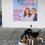 Comitê de Maria Victoria (PP) é Pet Friendly