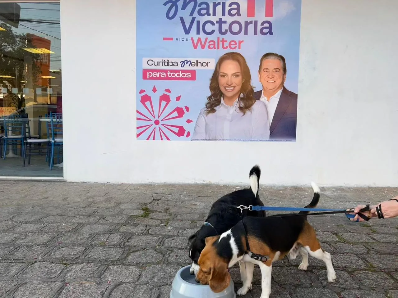 Comitê de Maria Victoria (PP) é Pet Friendly