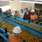 Indústria de suco de laranja investe R$ 20 milhões em nova unidade no Paraná