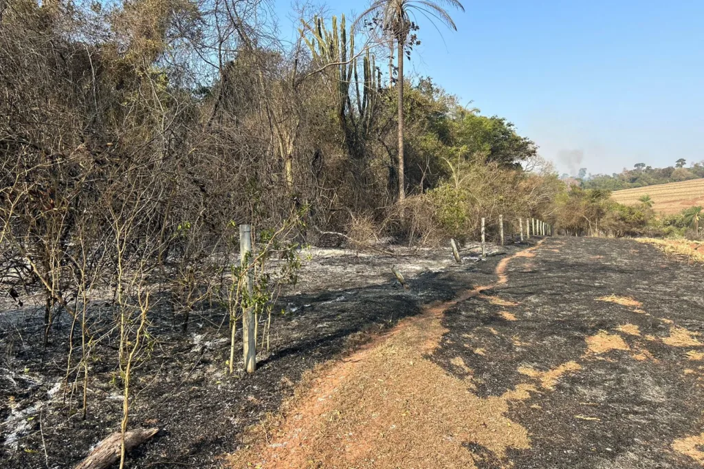 Com uso de helicóptero, bombeiros combatem incêndio em Maria Helena 6 incendio umuarama 01 iat