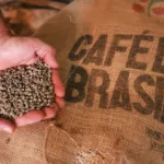 Exportações de café do Paraná têm melhor 1º semestre dos últimos 12 anos