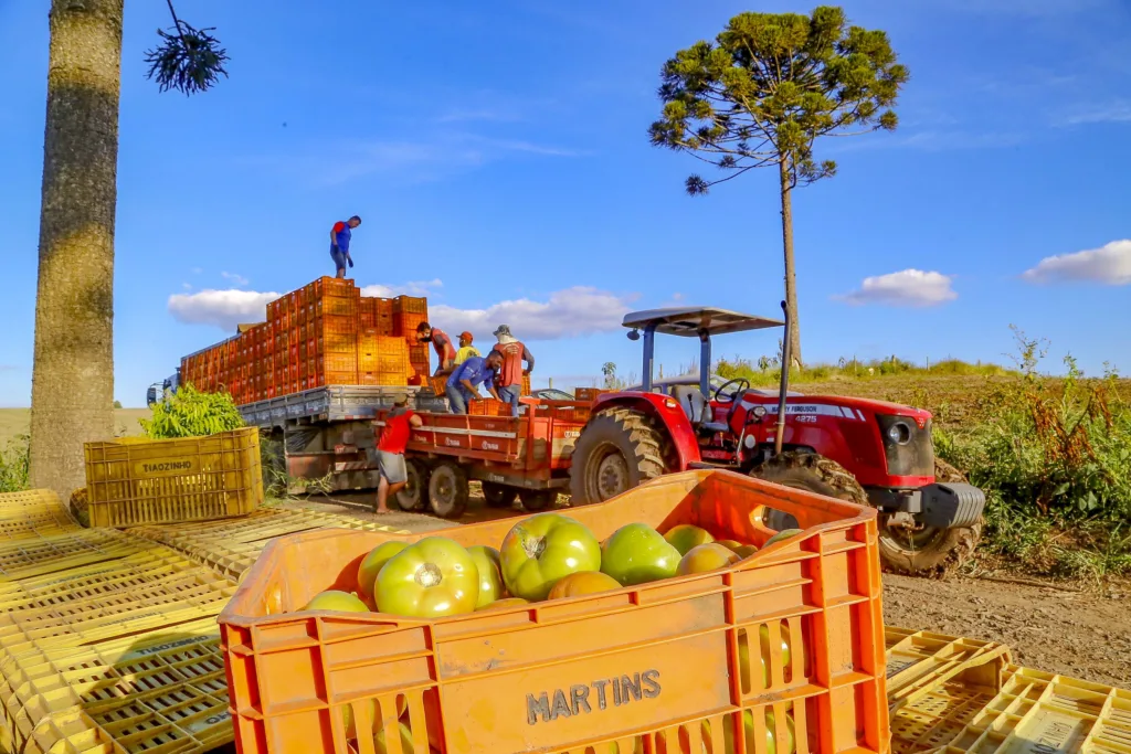 Preços de alimentos e bebidas tiveram queda de 1,29% em julho no Paraná 6 Preços de alimentos e bebidas tiveram queda de 1,29% em julho no Paraná