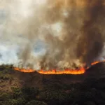 Governo do Paraná libera fundo de R$ 5 milhões para municípios em situação de emergência
