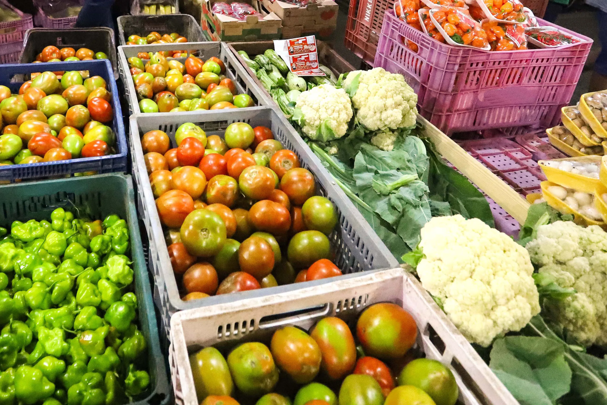 Sistema Nacional de Segurança Alimentar e Nutricional (Sisan)