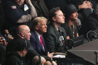 O presidente eleito Donald Trump compareceu à disputa pelo título dos pesos pesados ​​do UFC no Madison Square Garden.