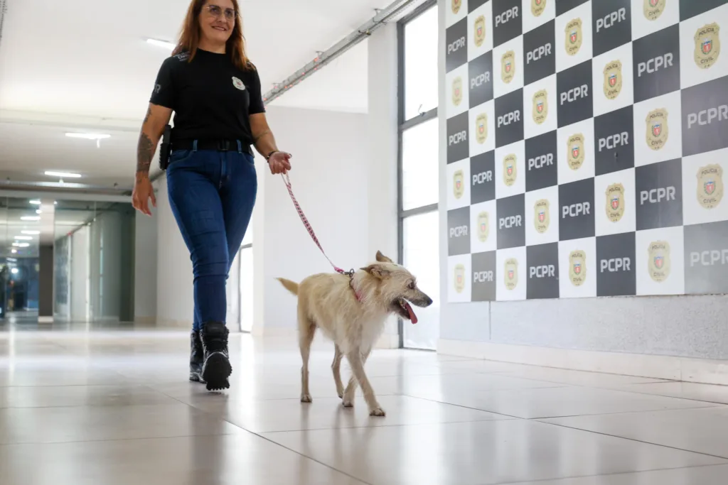 Policiais civis adotam cachorrinha que "pediu ajuda" para salvar os filhotes 6 filo 09