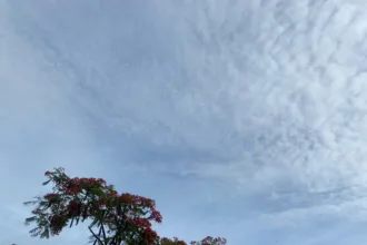 Chuvas, raios e ventos fortes; Paraná tem previsão de tempestades para o fim de semana