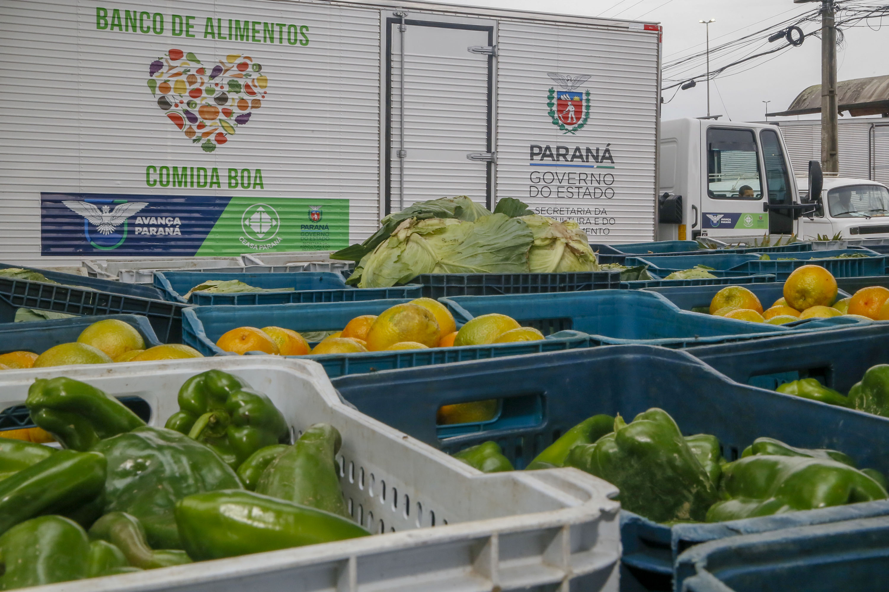 Segurança alimentar