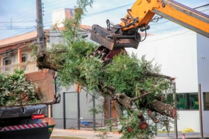 Os serviços garantem uma cidade limpa e bem cuidada para os maringaenses (Crédito: Rafael Macri / PMM)