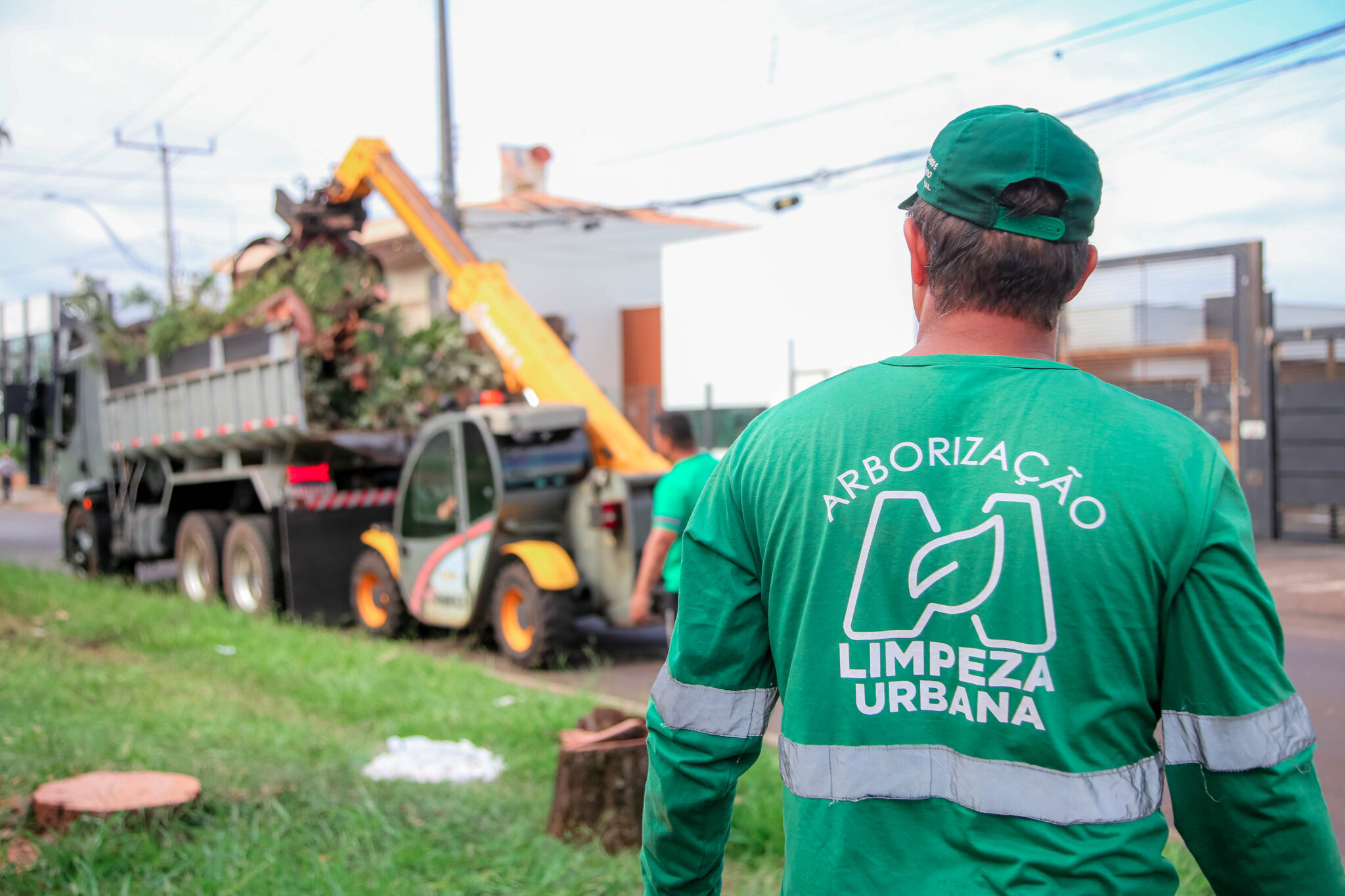 A remoção das árvores secas será realizada de forma coordenada, com a garantia de que os resíduos gerados serão destinados aos locais adequados, como ocorreu no domingo, 12, na Avenida Mandacaru (Crédito: Rafael Macri/ PMM)