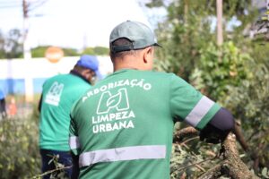 Serviços de arborização em Maringá