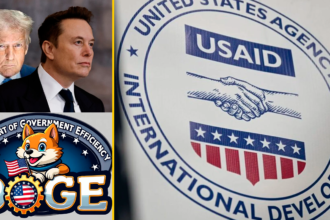 Trump_Musk_Doge_USAID