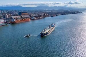 Porto de Paranaguá é o maior canal de exportação de óleo vegetal e frango congelado do Brasil