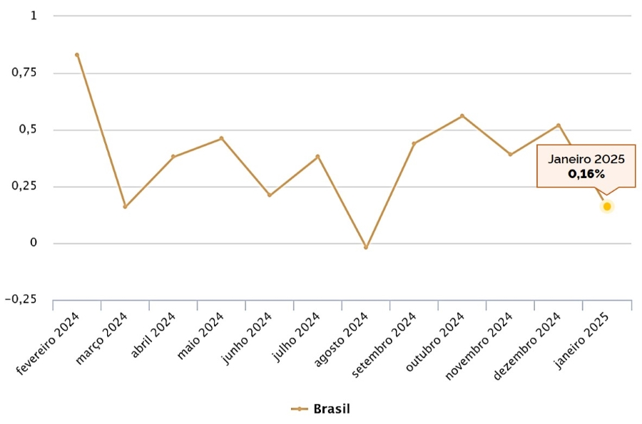 Inflação desacelera e registra a menor taxa para janeiro desde 1994: 0,16% 2 image 22