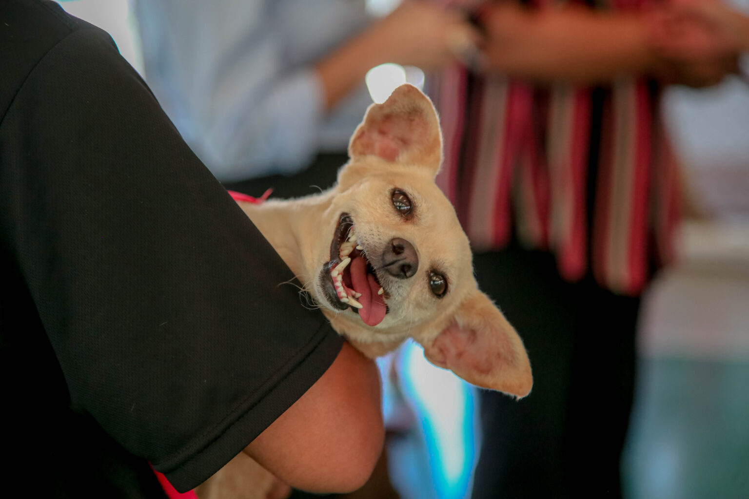 A ação ocorrerá na quarta-feira, 19, das 9h às 11h, no Centro Pop, localizado na Vila Progresso (Crédito: Rafael Macri / PMM)