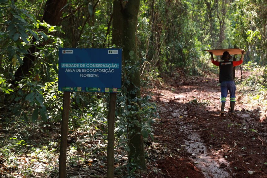 planos de manejo de parques municipais