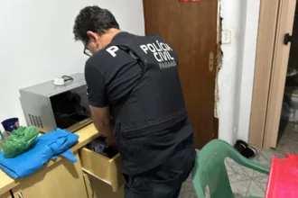 Polícia Civil prende grupo envolvido em roubo de carga de fertilizante avaliada em R$ 100 mil