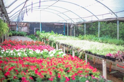 Os visitantes poderão aproveitar descontos de até 20% e haverá brindes para compras acima de R$ 50. (Crédito: Arquivo / PMM)