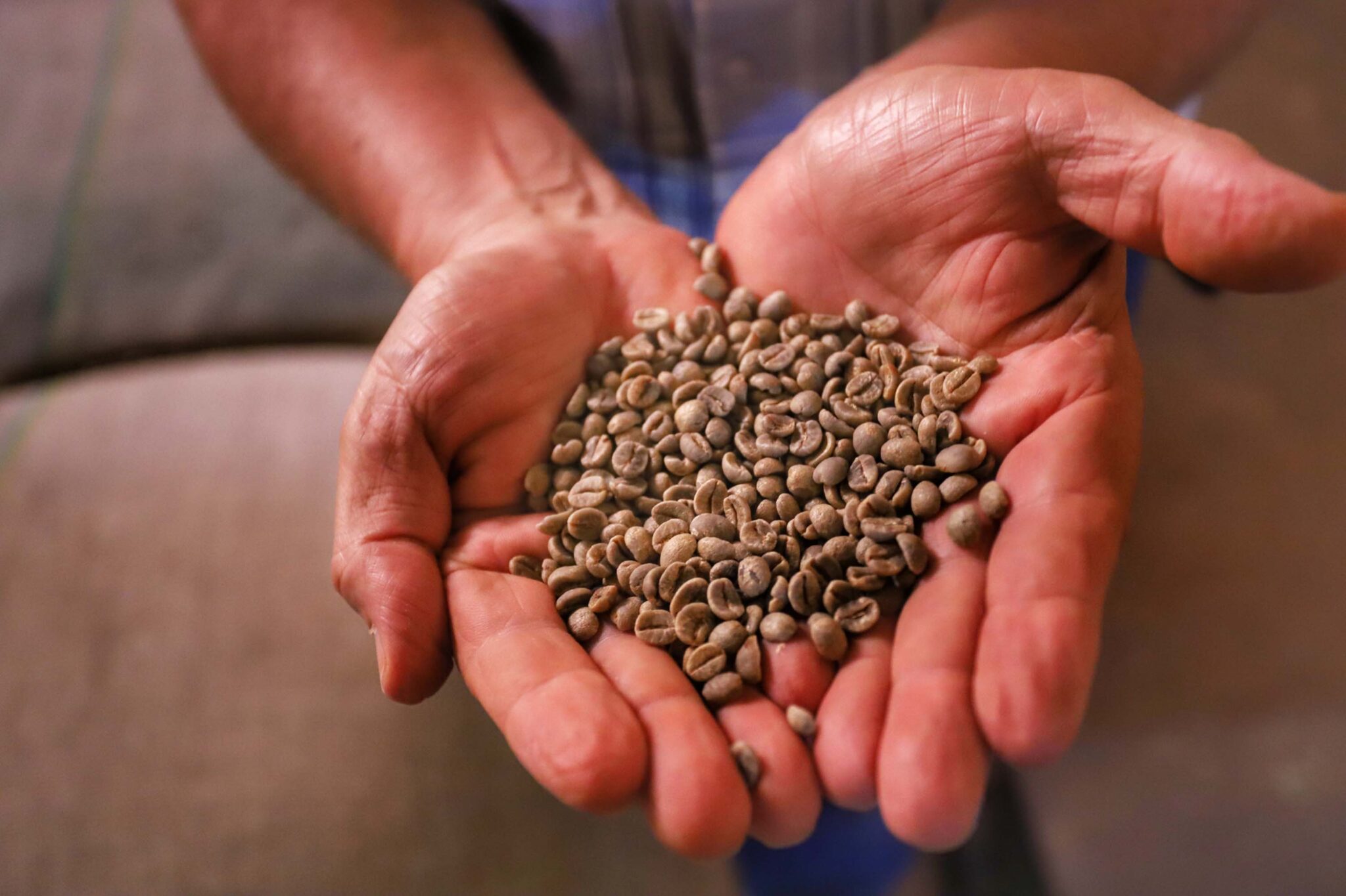 Paraná vendeu US$ 14,2 bilhões em alimentos e bebidas no comércio global para 176 países em 2024