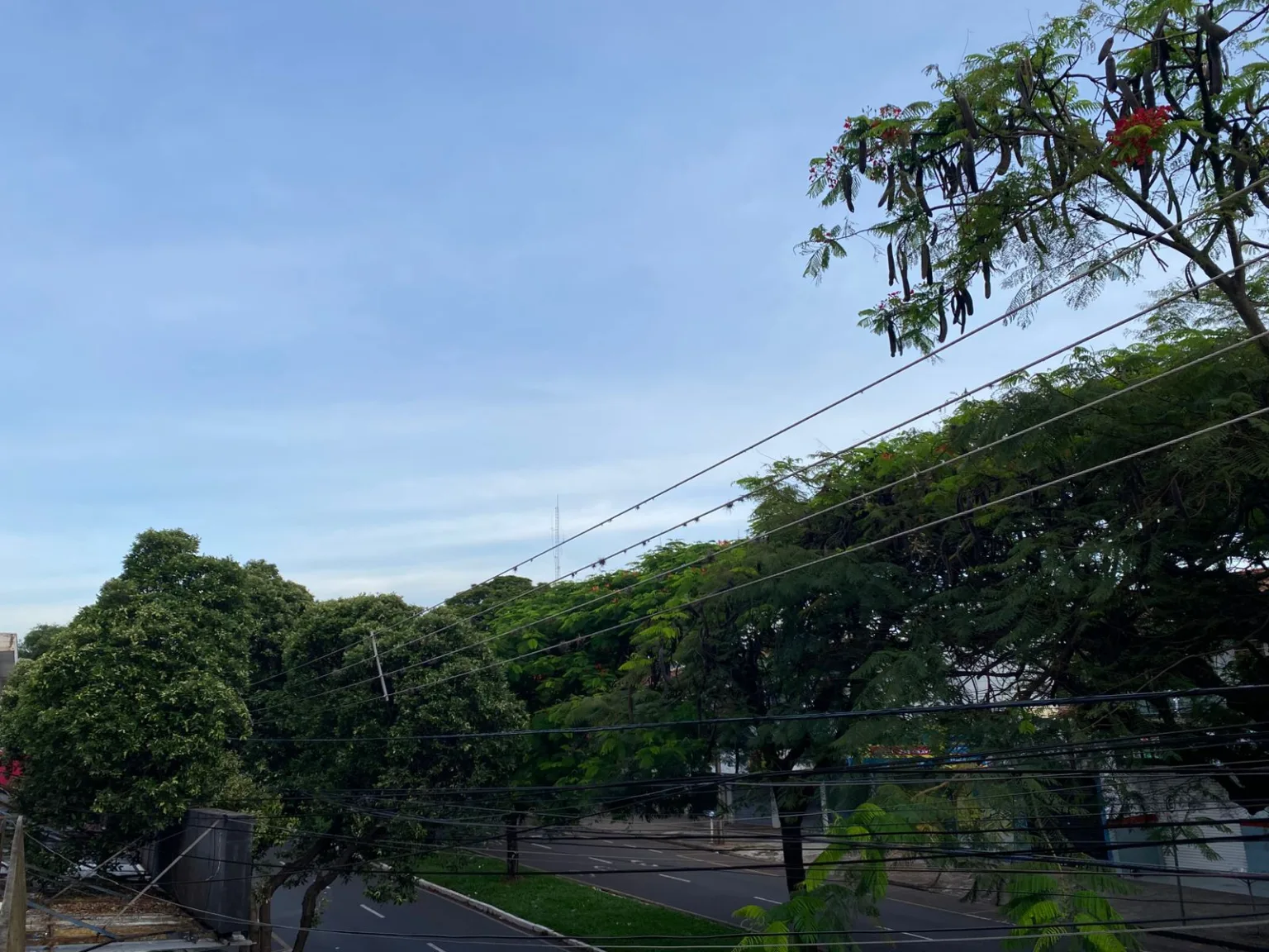 WhatsApp Image 2025 11 29 at 06.23.29