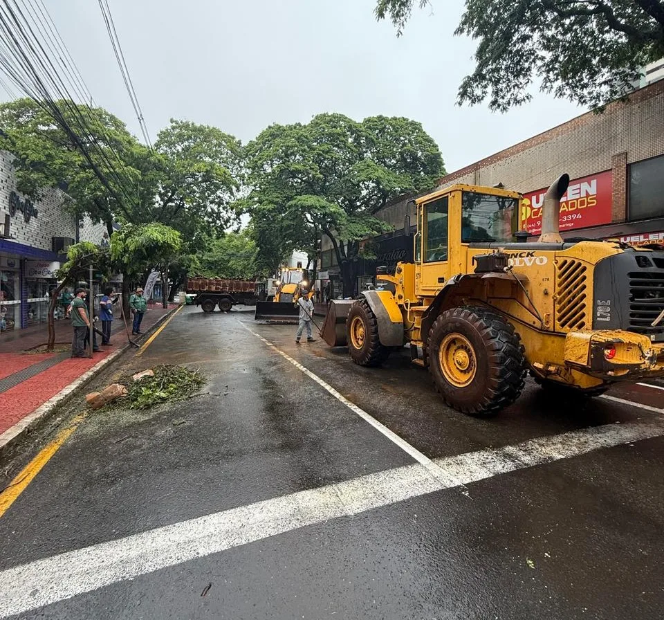 a29b0b7d 5243 4483 82df 5223f39b3b87