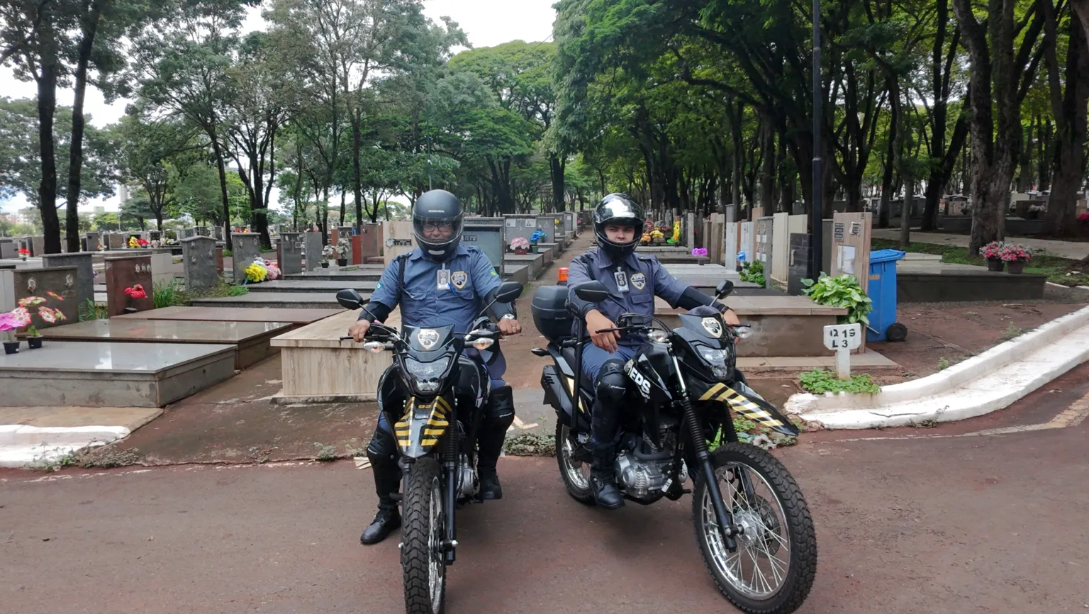 f059bd2a 2980 48d8 867a dfc2b90a31fe