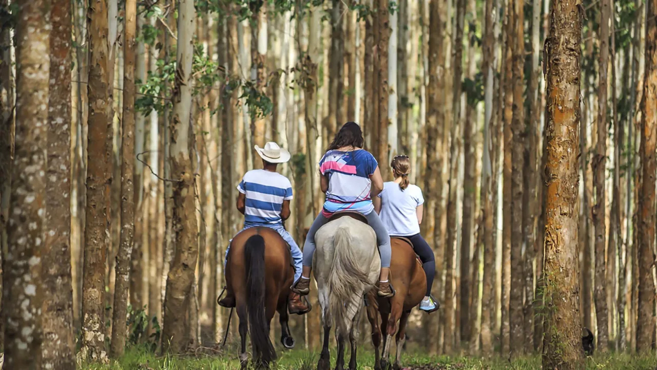 Turismo rural no Paraná