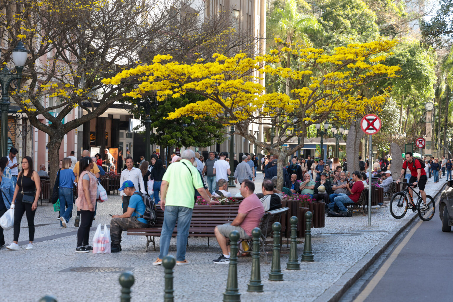 20250910 agb servicos 4 - Saiba Já News