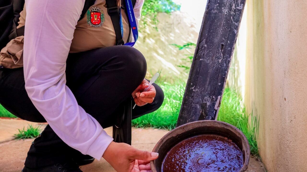 Calor aliado ao acúmulo de água da chuva em recipientes descobertos favorece a formação de criadouros (Crédito: Rafael Macri/PMM)