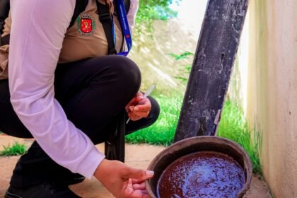 Calor aliado ao acúmulo de água da chuva em recipientes descobertos favorece a formação de criadouros (Crédito: Rafael Macri/PMM)