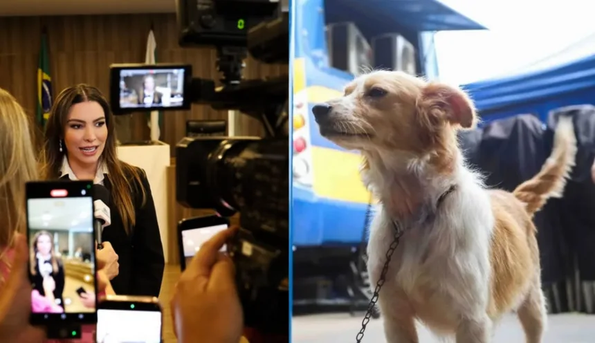 Deputada Maria Victoria (PP) confirma o programa CastraPet para 28 cidades paranaenses