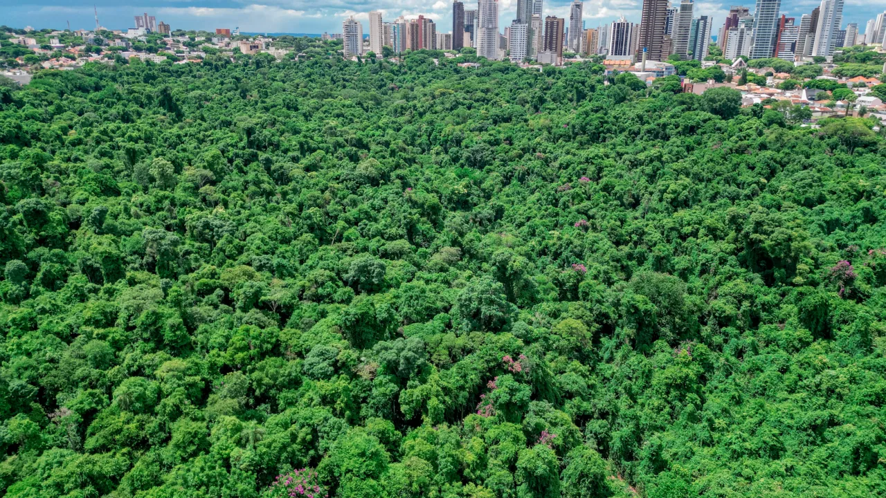 As inscrições seguem abertas até 9 de fevereiro e devem ser realizadas exclusivamente por meio do Sistema Eletrônico de Informações (SEI). (Crédito: Rafael Macri/PMM)
