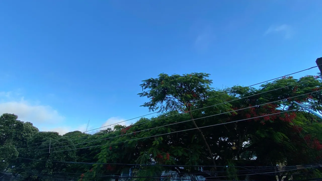 WhatsApp Image 2026 01 30 at 06.56.23