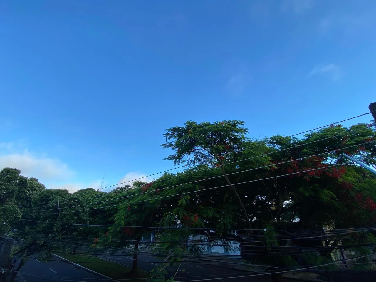 WhatsApp Image 2026 01 30 at 06.56.23